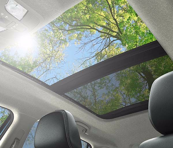Suzuki Vitara Gallery