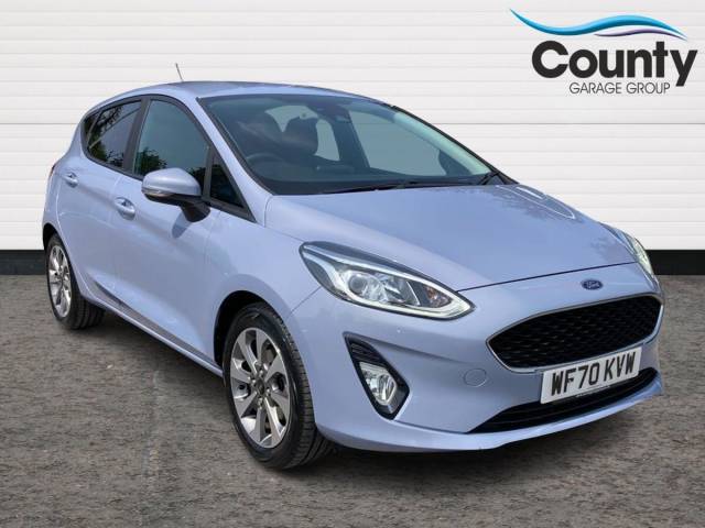 Ford Fiesta 1.0 EcoBoost 95 Trend 5dr Hatchback Petrol BLUE