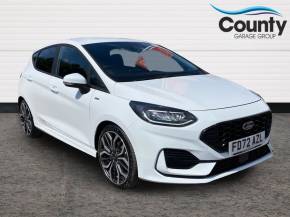 FORD FIESTA at County Garage Group Barnstaple