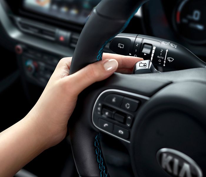 Kia New E Niro Gallery