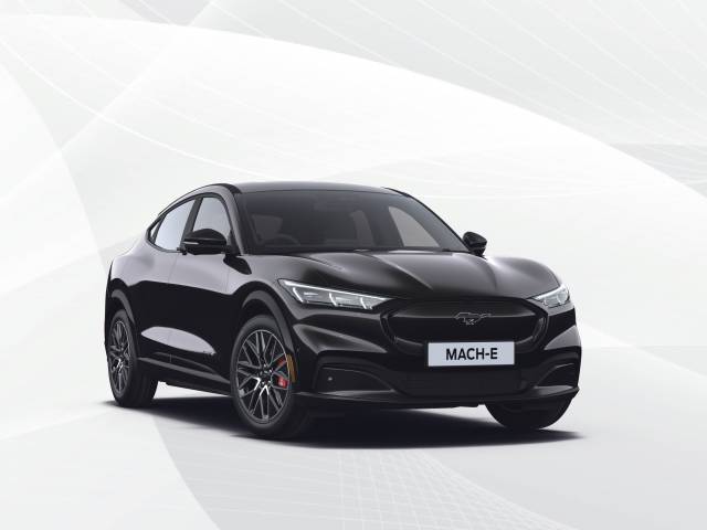 FORD MUSTANG MACH-E Business Offer