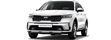 All New Sorento